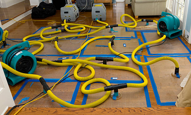 Professional Sewage Cleanup technician working in Valley View, TX